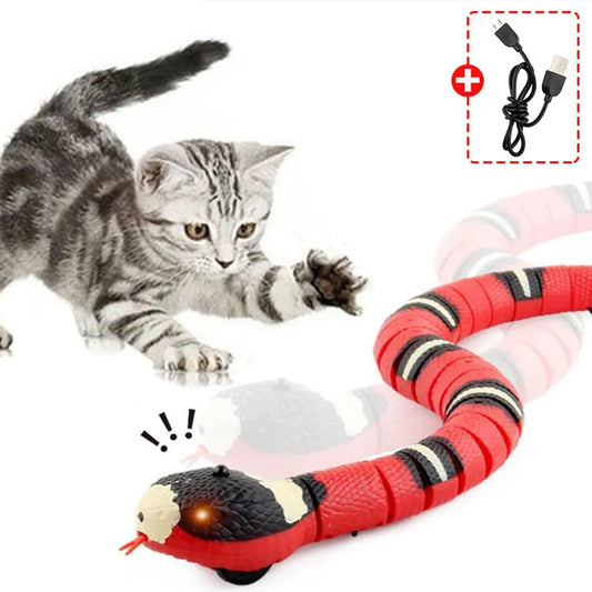Eletronic Snake Cat Teaser