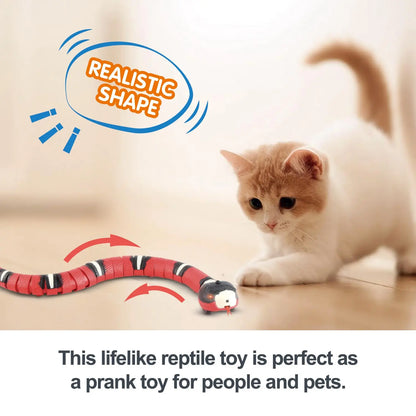 Eletronic Snake Cat Teaser