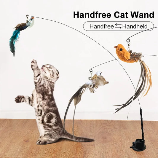 Handfree Bird/Feather Cat Toy